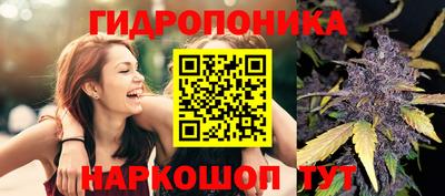крисы Ирбит