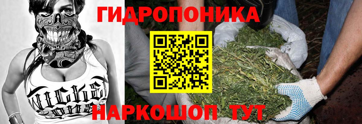 Конопля Amnesia  Вход с VPN  Каннабис индика  Конопля ГИДРОПОН  Лянтор 